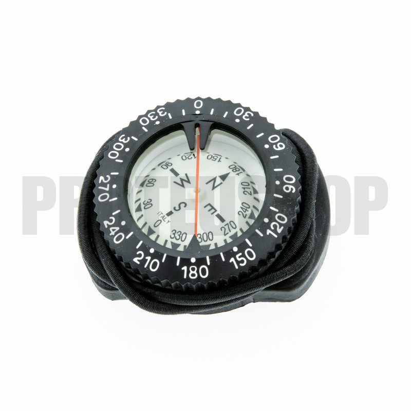 Standard compass with bungee cord